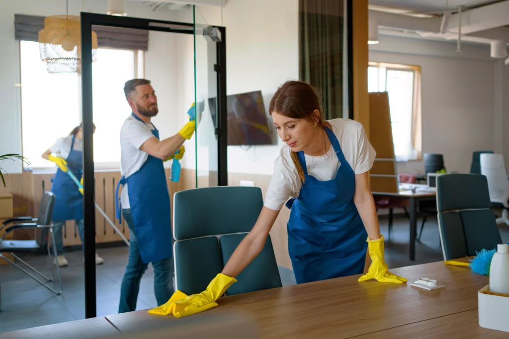 Move Out Cleaning