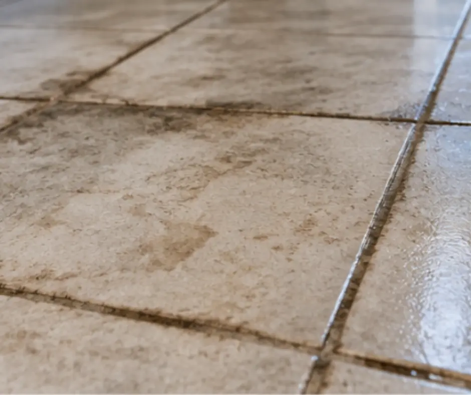 Dirty and stained tile and grout in a Melbourne home, showing the need for professional cleaning